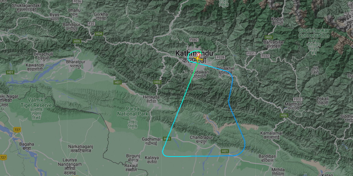 Bangalore-bound aircraft of NAC returns to TIA; bird hit suspected