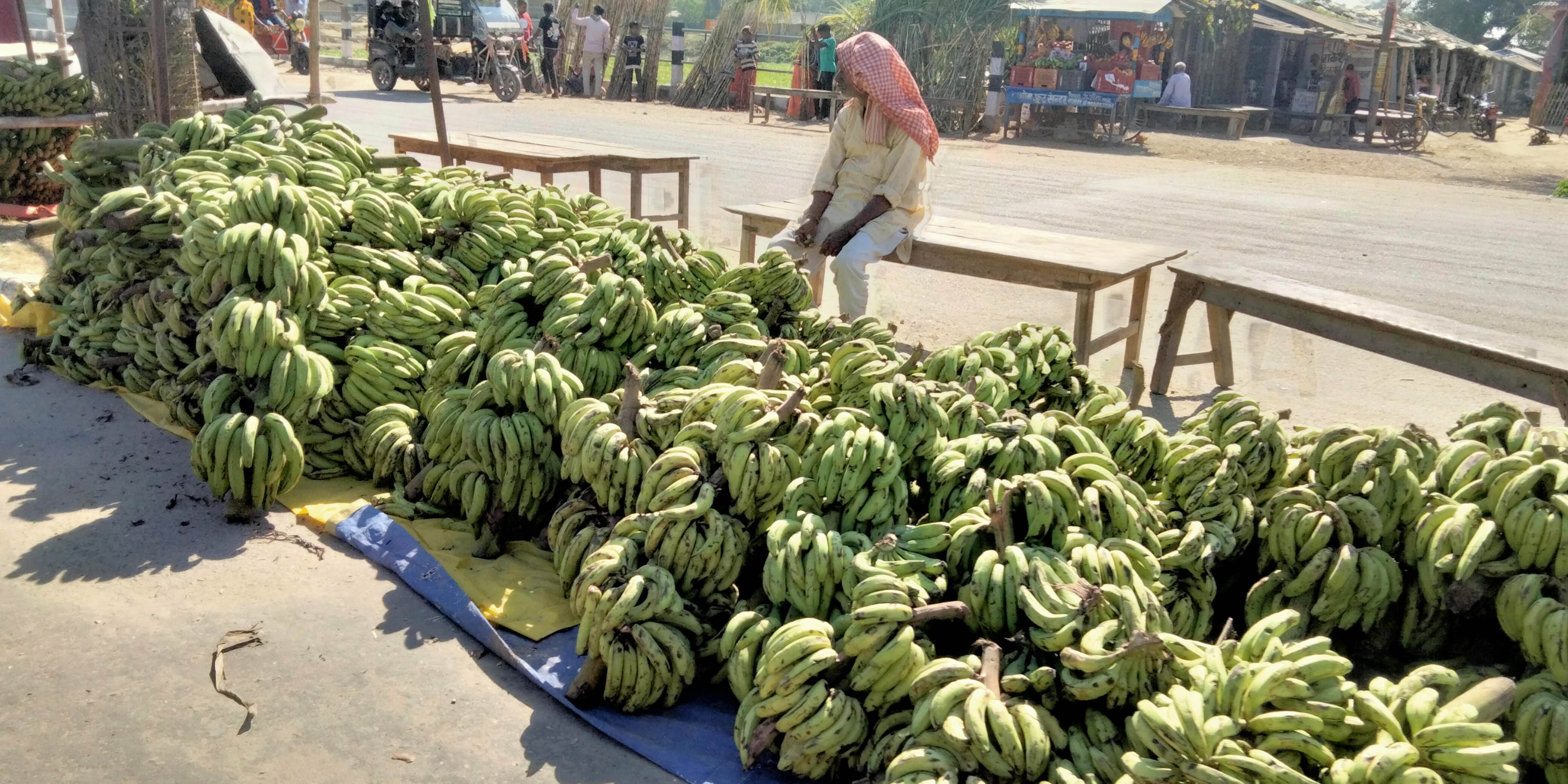 Janakpur imports bananas worth Rs 40 million for Chhath