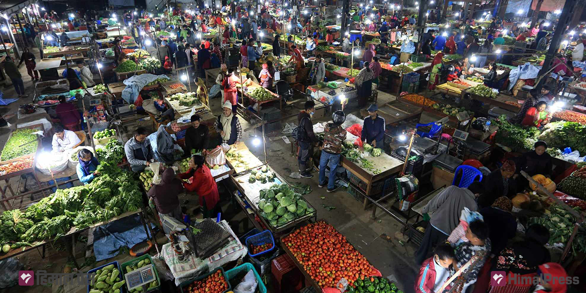 Tomato, cauliflower farmers hit hard as price plummet