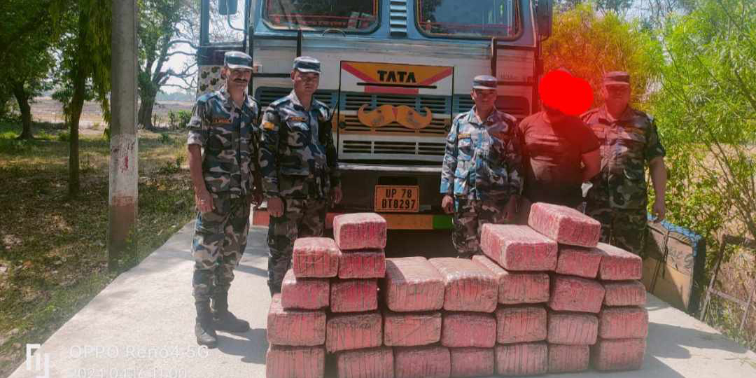 APF impounds Indian truck with 272 kg of marijuana from Rupandehi