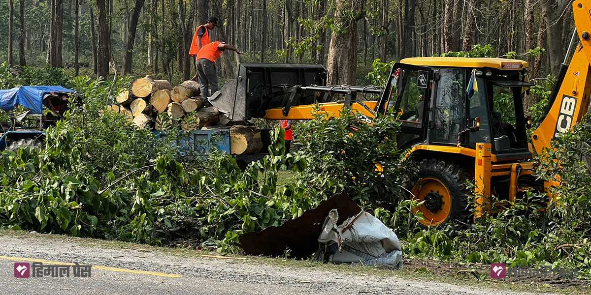 Tree felling underway for East-West Highway expansion in Koshi [In Pictures]
