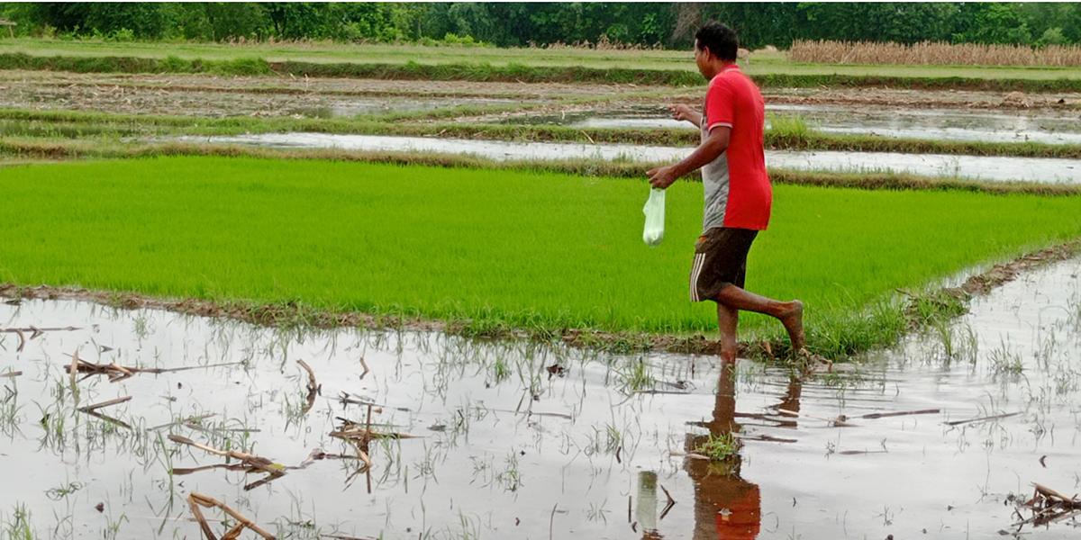 Farmers face shortage of fertilizers; govt says its has 96k tons in stock