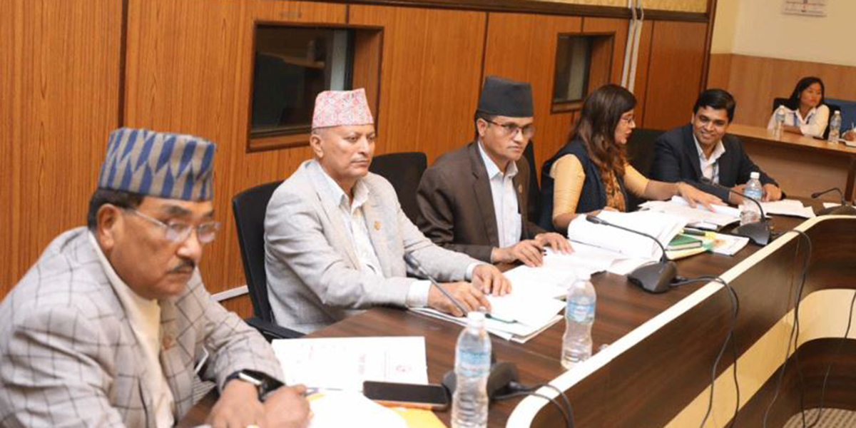 Parliamentary inquiry committee summons home secretary, Nepal Police chief