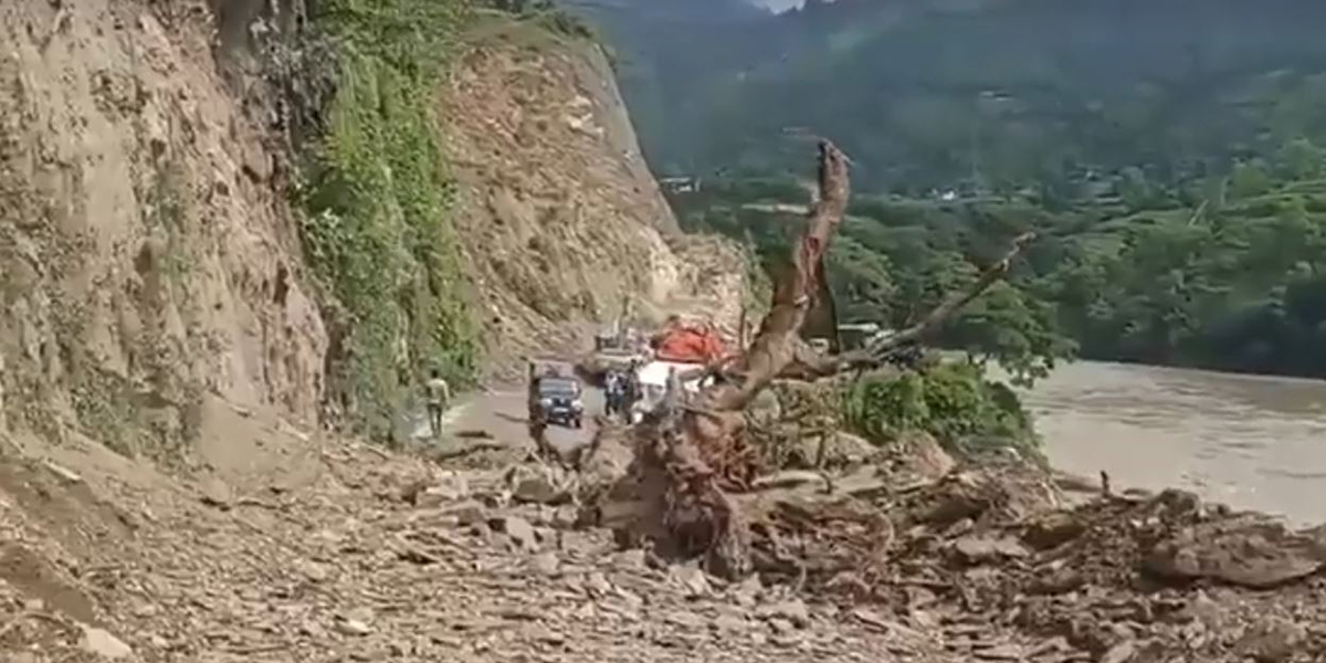 Passengers injured as tree falls on moving van in Dhading