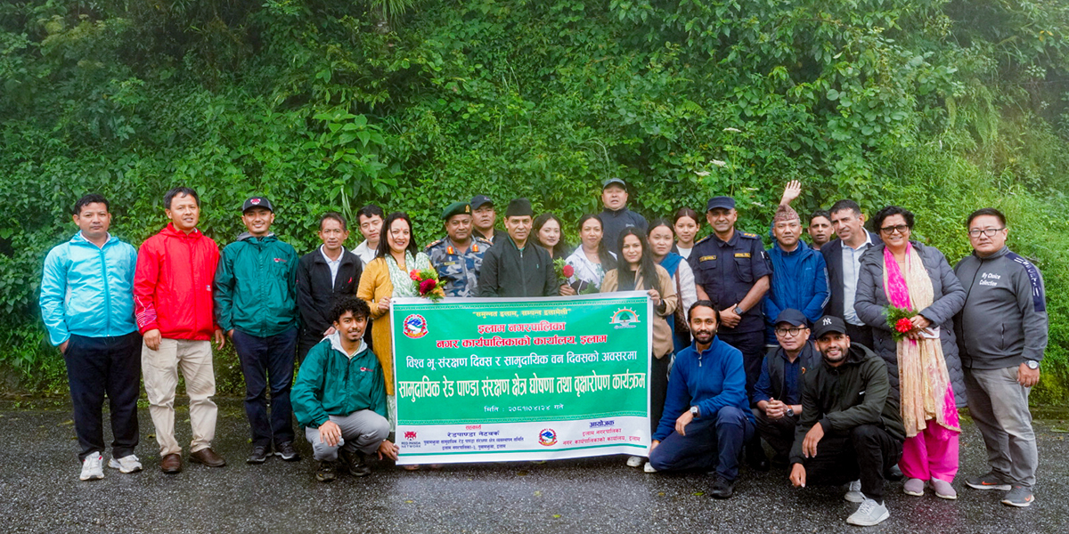 Red panda conservation area declared in Ilam