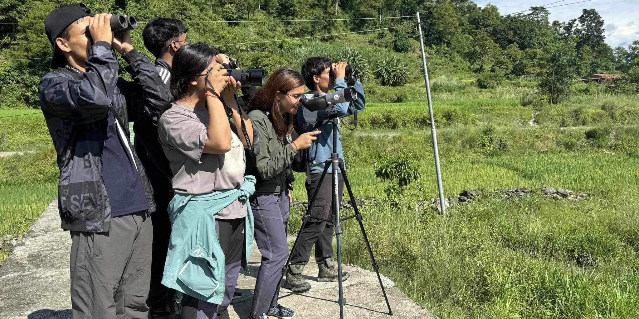 Vulture population rises in Pokhara