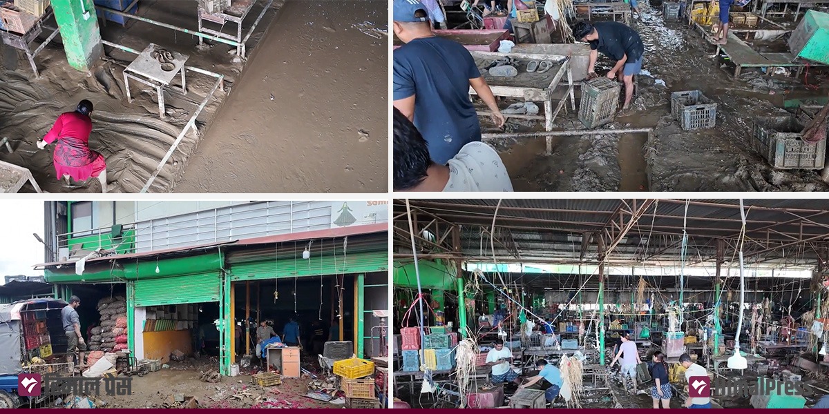 Fruits worth millions destroyed by floods in Balkhu market