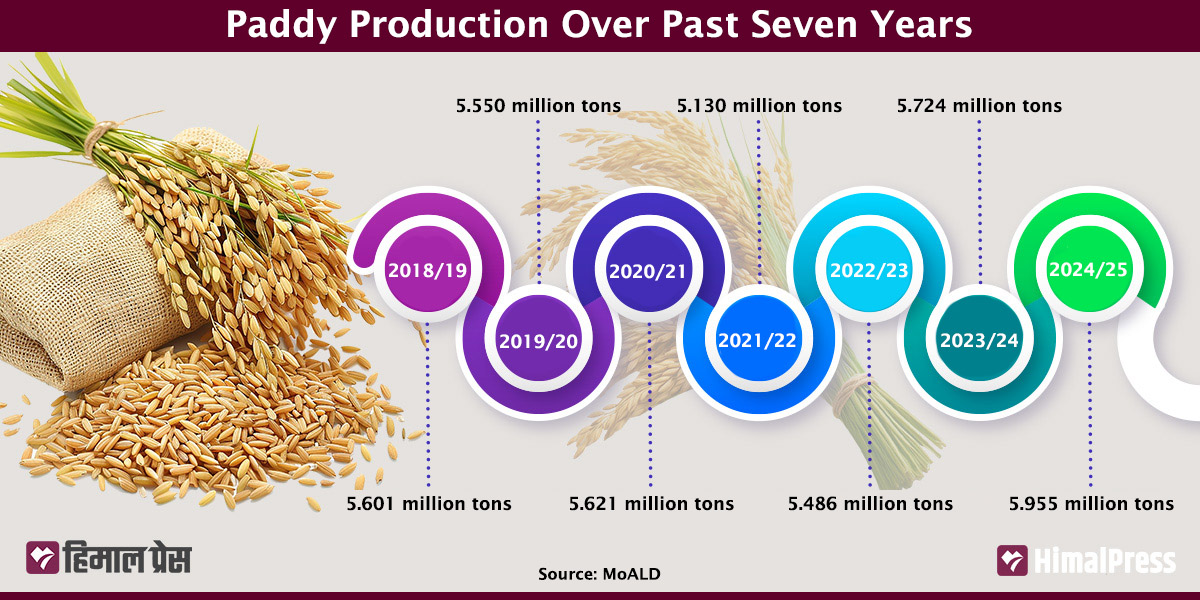 Experts urge faster farm mechanization to further boost paddy yields