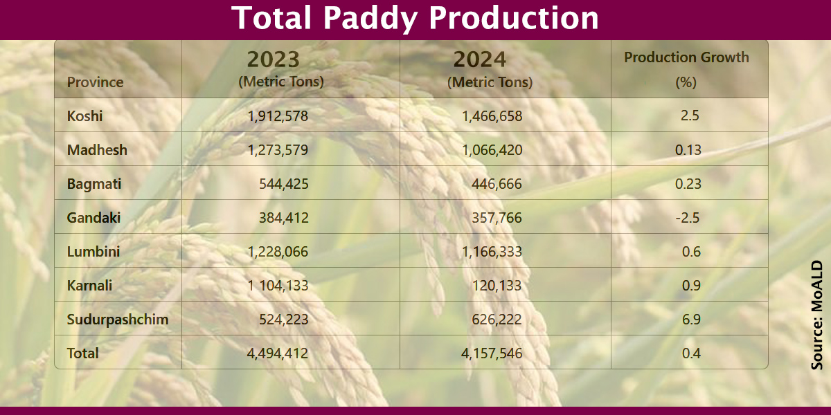 Paddy production up 4.04% to 5.955 million tons