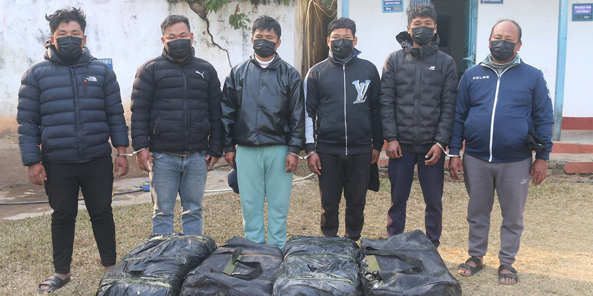 Police arrest six youths with 120 kg of marijuana in Dhankuta