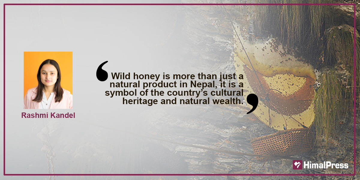 Mad Honey: Nepal’s Psychoactive Mountain Treasure