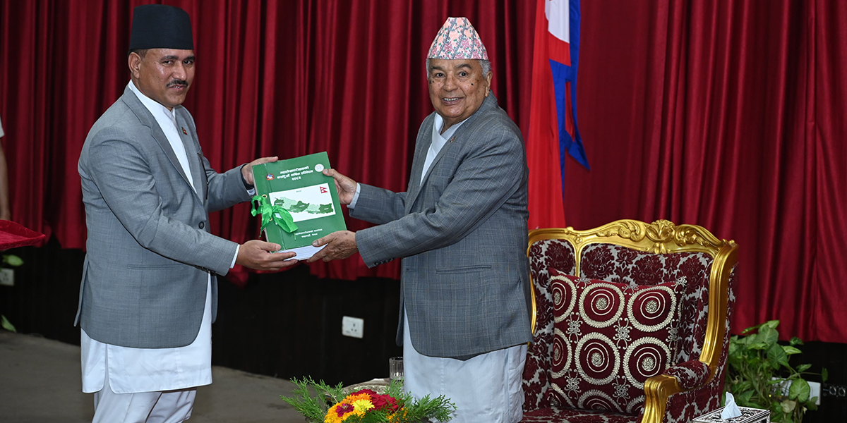 Cumulative outstanding irregularities rise to Rs 733.19 billion