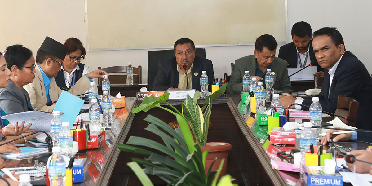 Significant share of loans flowing to limited individuals, groups: Governor