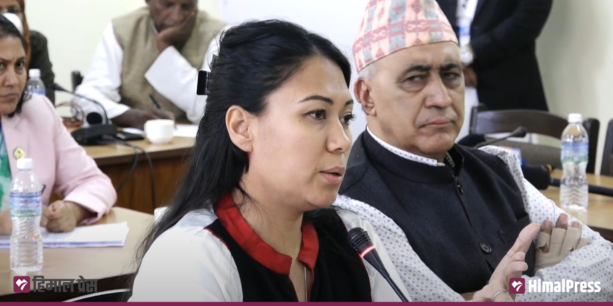 Lawmakers split over role of private schools