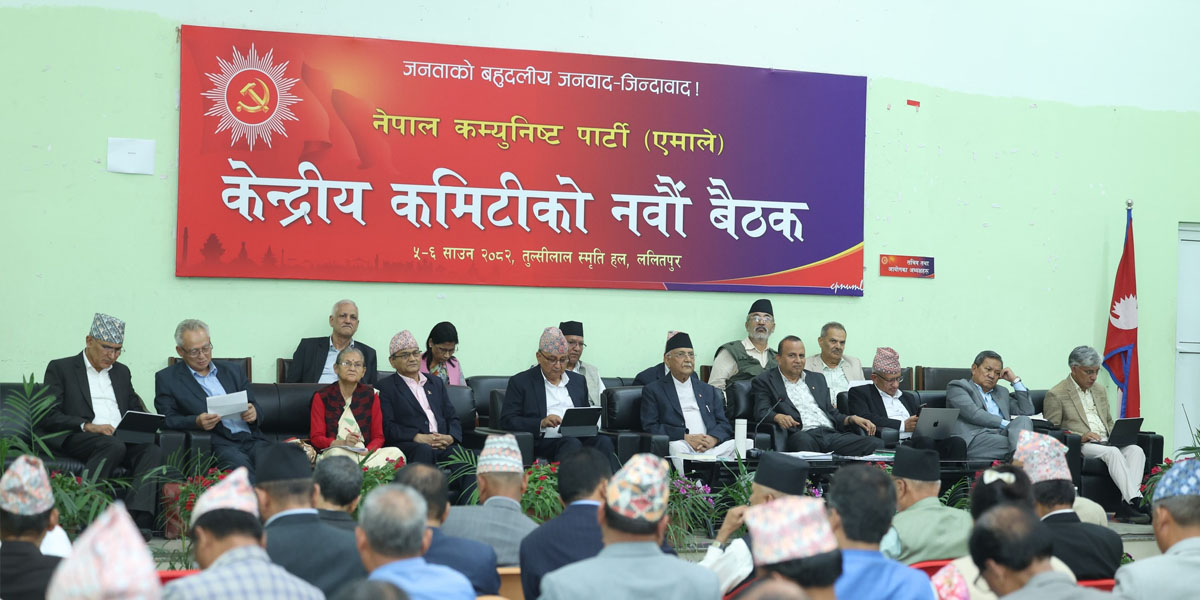 UML’s Central Committee meeting discusses statute amendment, organizational report