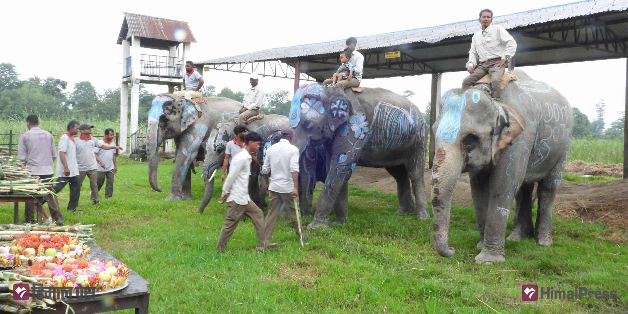 Awareness key to reducing human-elephant conflict