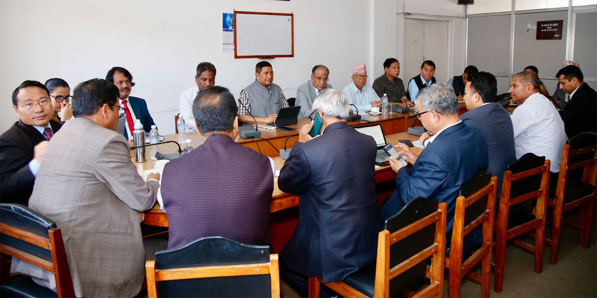 Parties, except NC, UML, decide to oppose ECN’s self-assessment procedure