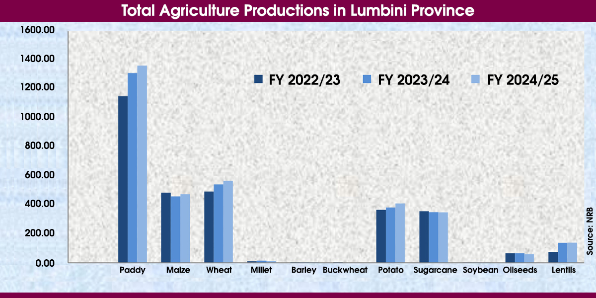 Farm output up 3.43% in Lumbini despite shrinking agricultural land