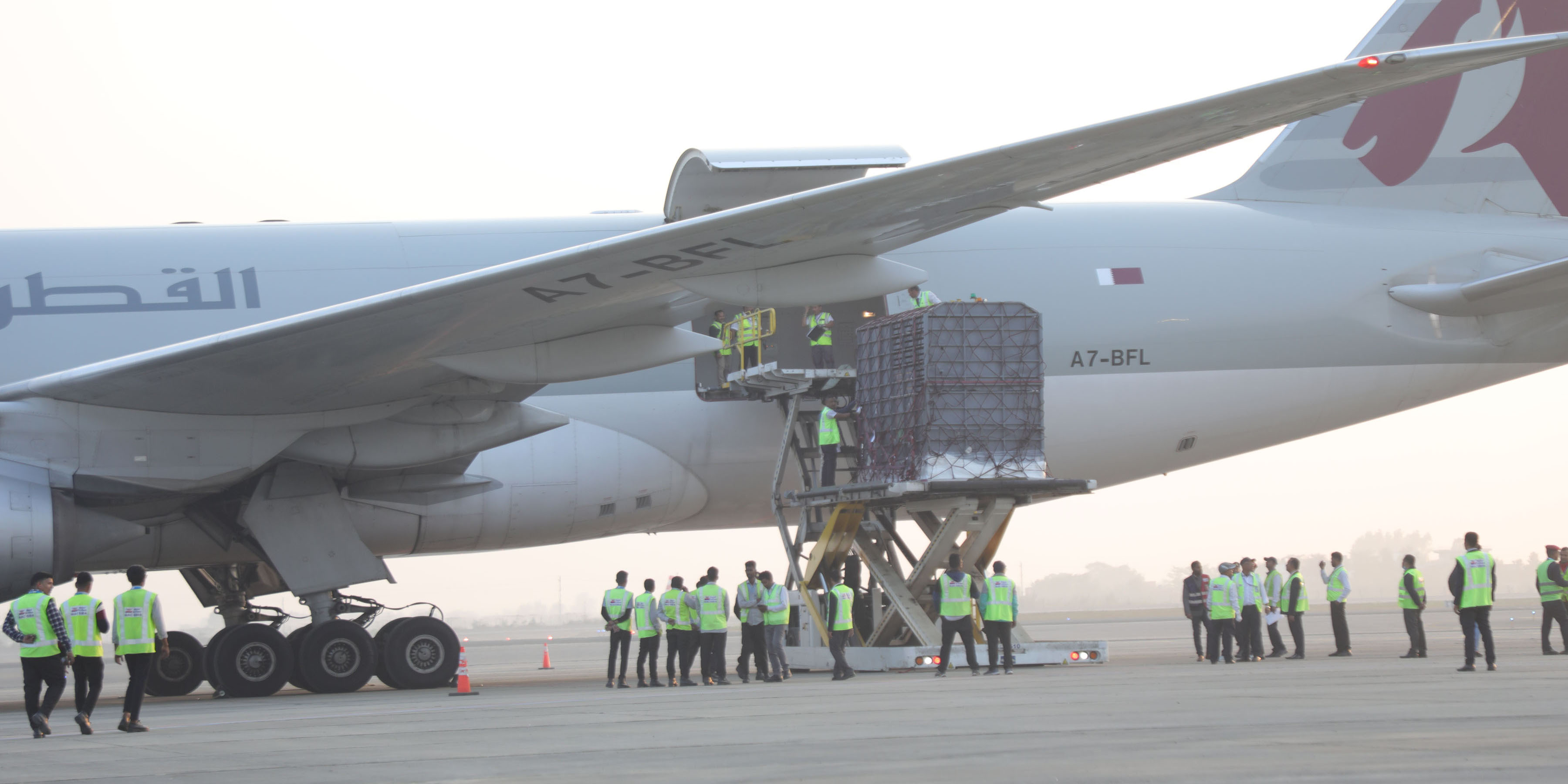 Two elephants fly to Qatar [In Pictures]