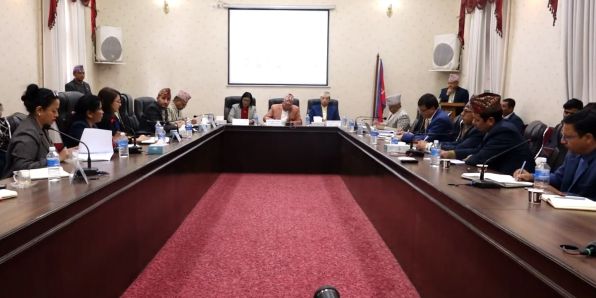 EC, govt hold discussion on proportional electoral system