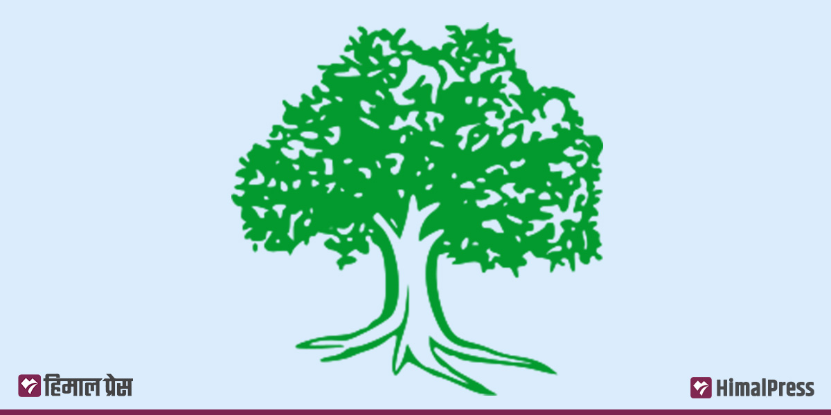 NC candidates file nominations