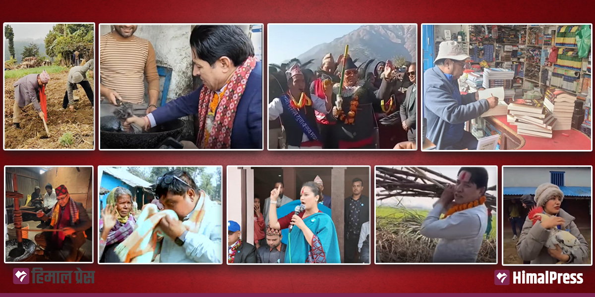 From tilling land to making jalebis, candidates go all out to woo voters