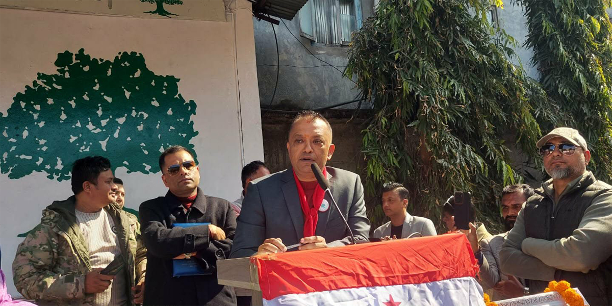 Nepal needs a political force capable of stabilizing the country: Thapa