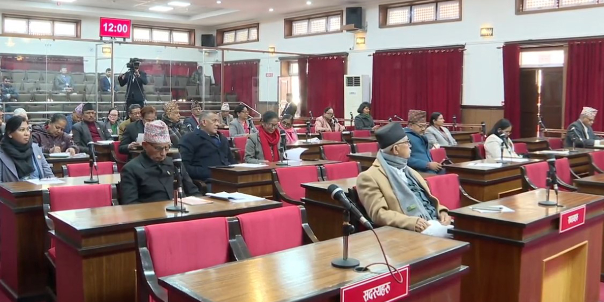 Upper house endorses proposal to withdraw Social Media Bill