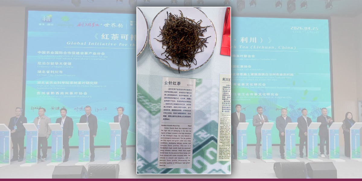 Promoting Nepali tea in China