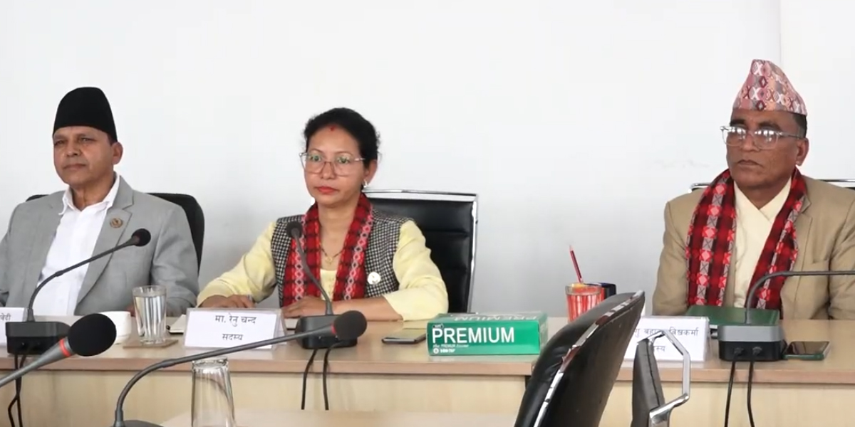 Four National Assembly committees elect chairpersons