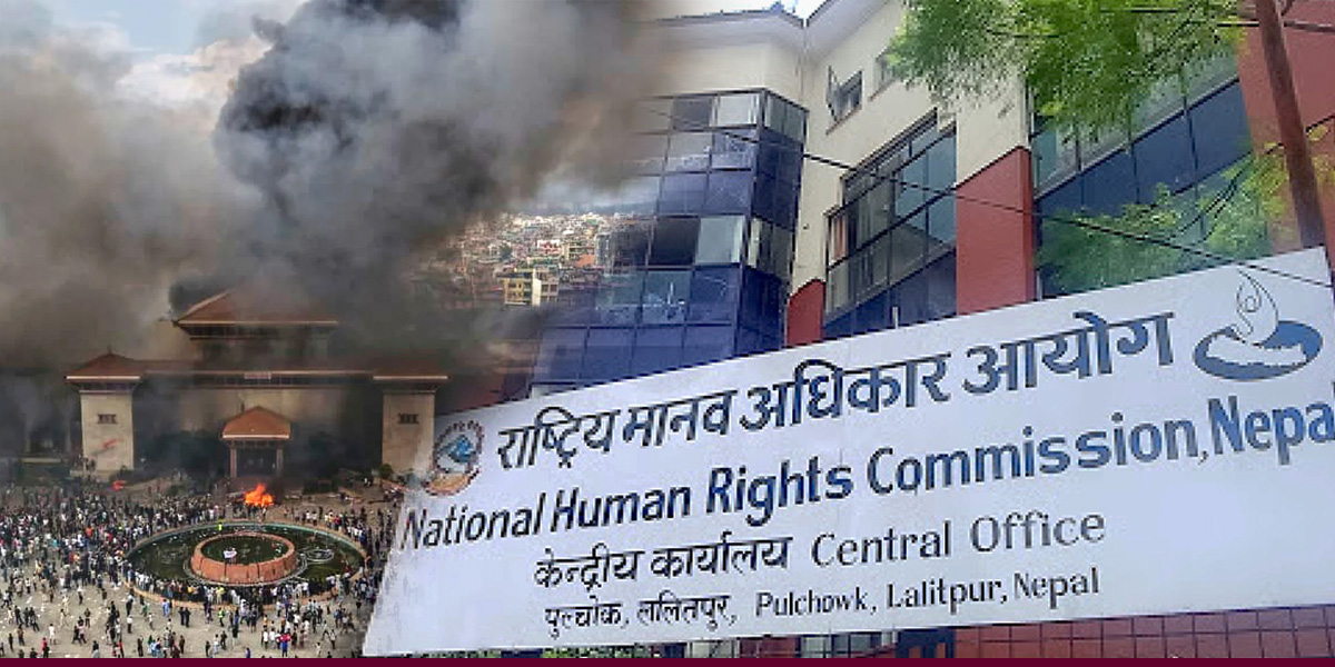 Probe the role of political leaders, social media influencers in instigating protest: NHR
