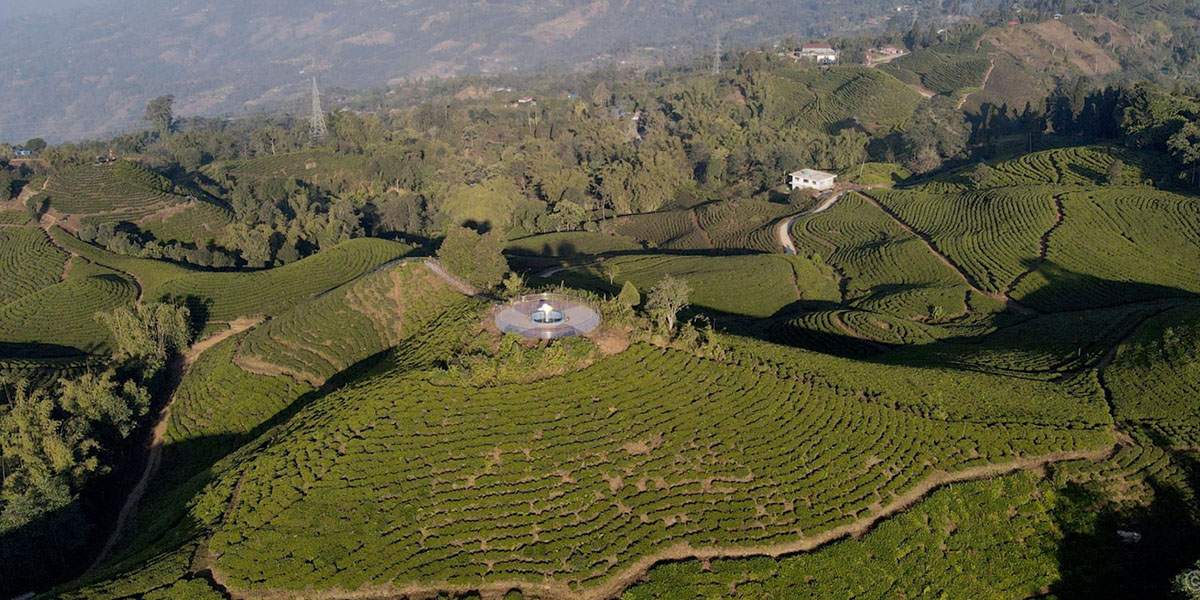 Tea exports come to a halt as India tightens rule
