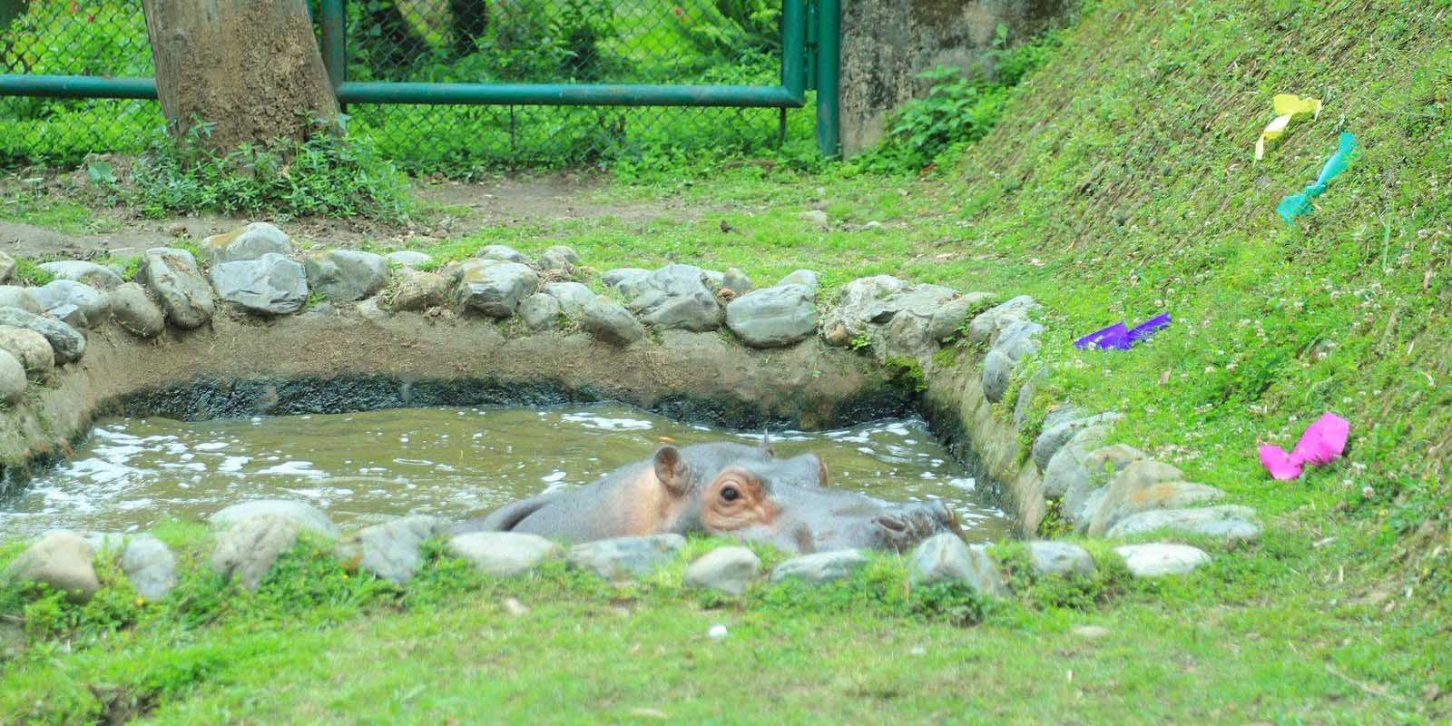 Bird flu forces closure of Central Zoo