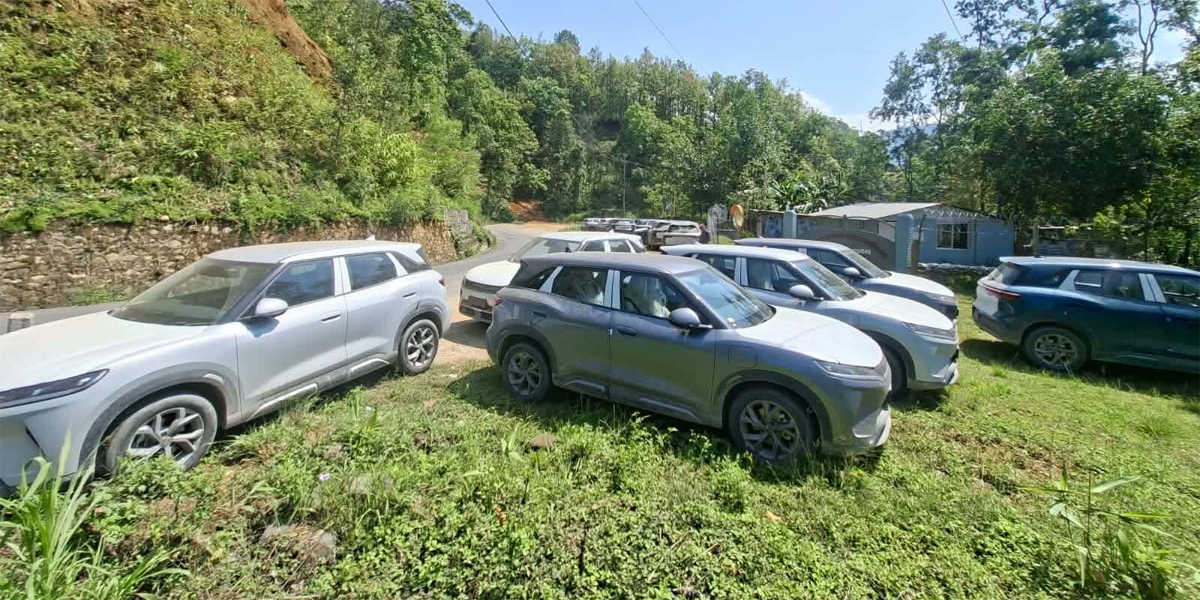 Panel formed to probe suspected tax evasion in import of 779 EVs