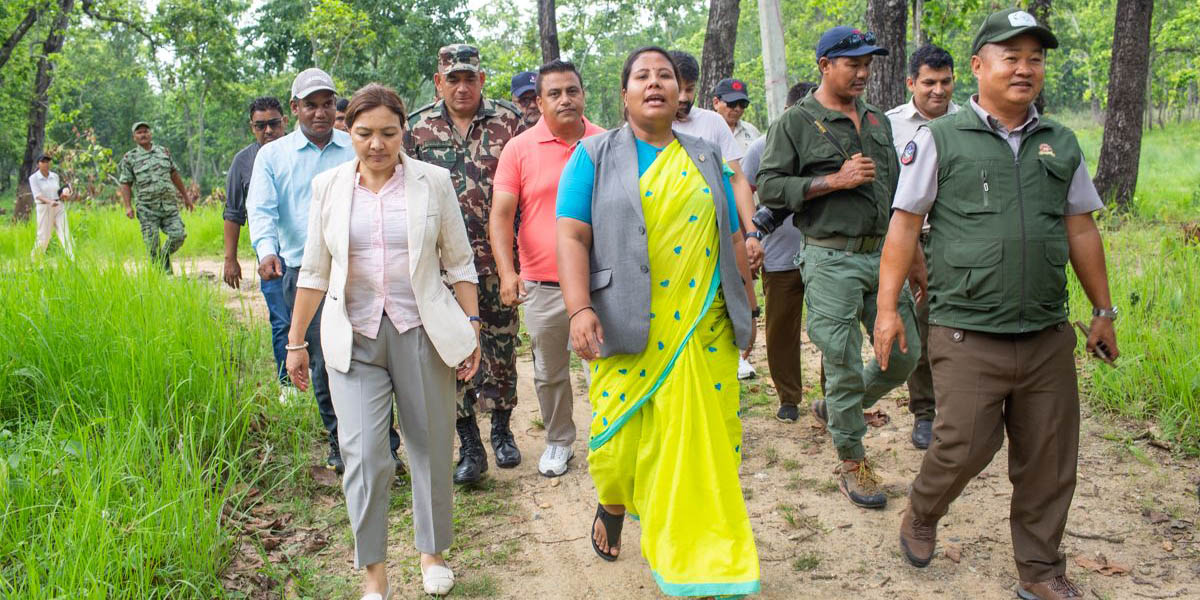 Govt moving ahead with plans to build tiger sanctuary in Devnagar: Chaudhary