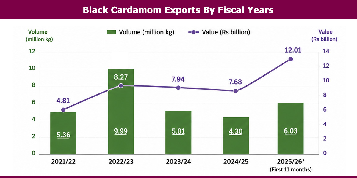 Black cardamom exports hit record Rs 12 billion in 11 months