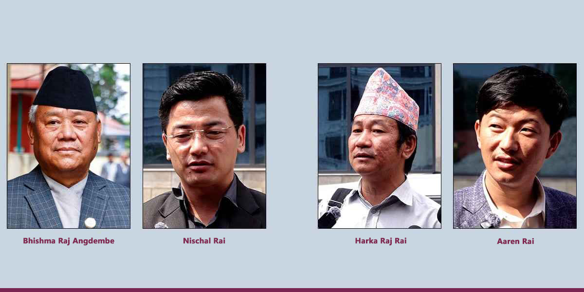 Handful of Koshi lawmakers keeping democratic oversight alive