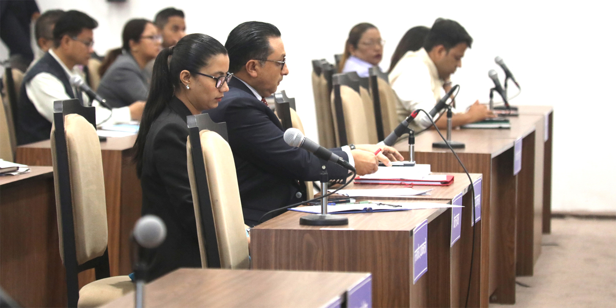 Economic Bill passed by lower house