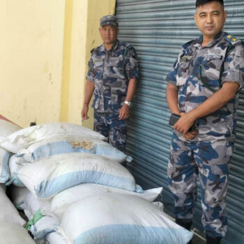 Pumpin seeds worth Rs 500,000 seized near Nepal-India border