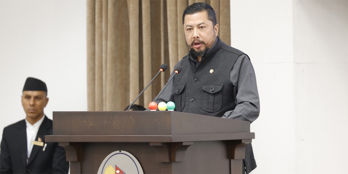 Increase in electricity exports alone should not be considered a success: Shrestha