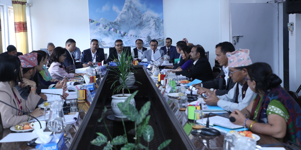 Finance Committee decides to retain seven-member NRB board