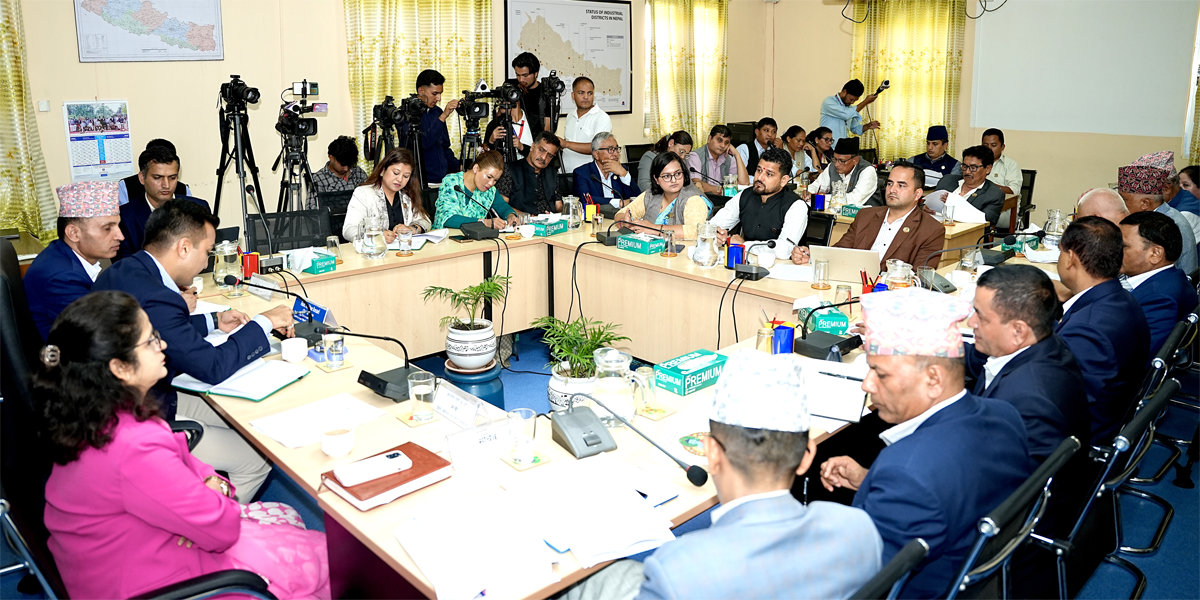 House panel directs govt to ensure smooth supply of LPG