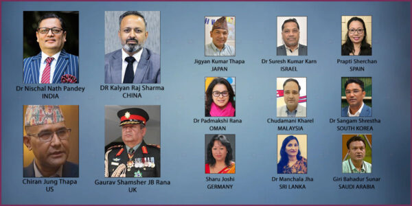 A look at 13 ambassadorial nominees