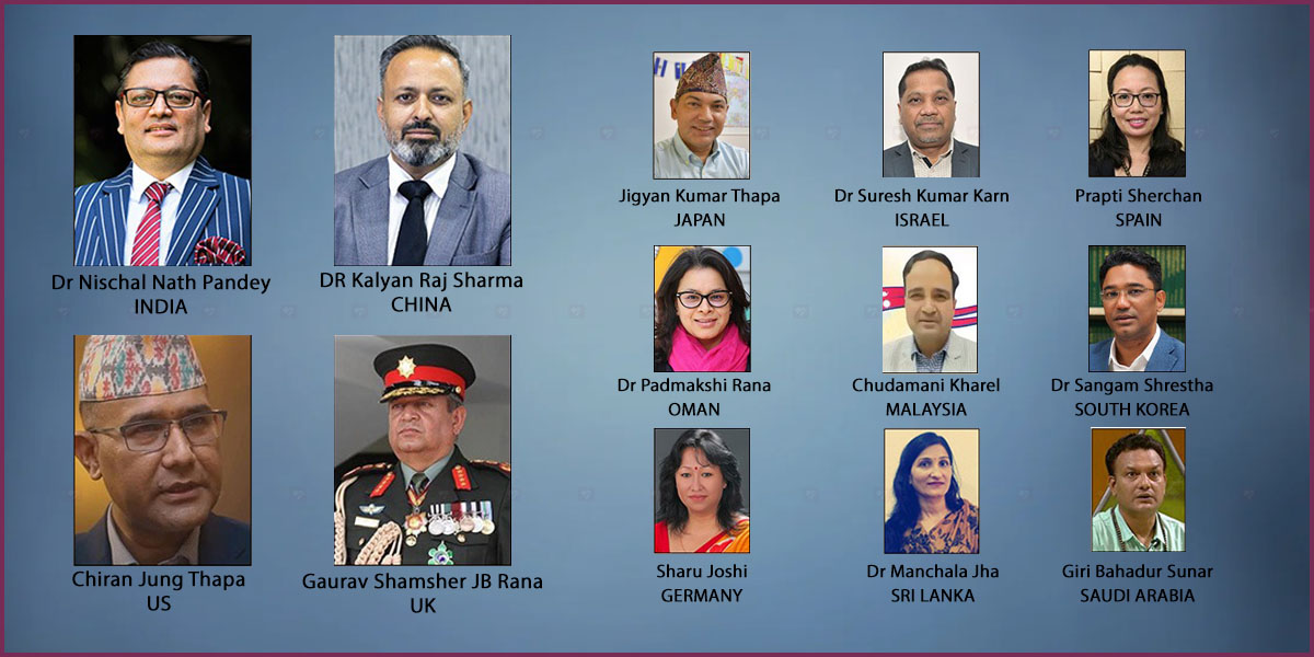 A look at 13 ambassadorial nominees