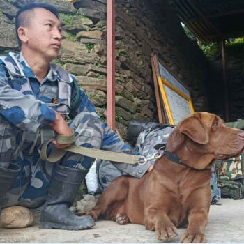 Meet Samba, the APF sniffer dog who helped locate 20 bodies in Rasuwa