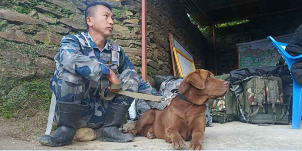 Meet Samba, the APF sniffer dog who helped locate 20 bodies in Rasuwa