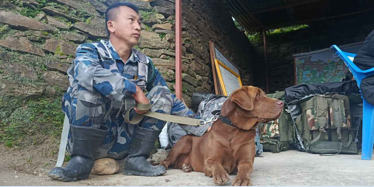 Meet Samba, the APF sniffer dog who helped locate 20 bodies in Rasuwa