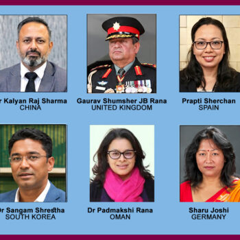 10 ambassadorial nominees cleared by hearing committee