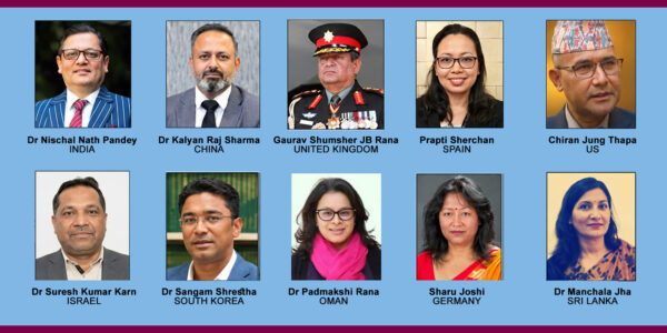 10 ambassadorial nominees cleared by hearing committee