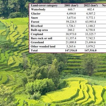 Cropland shrinks 14.5% over two decades